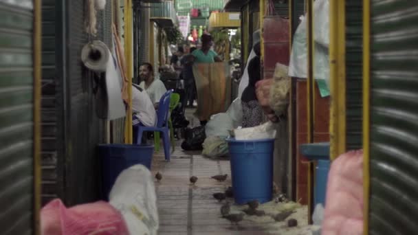 Niet Geïdentificeerde Mensen Plaza Minorista Boerenmarkt Het Minorista Plein Medellin — Stockvideo