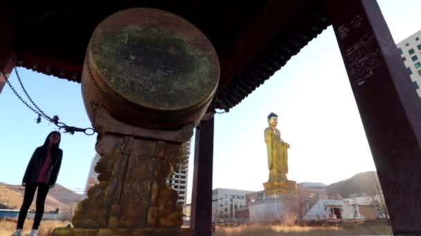 Unbekannte Internationalen Buddha Park Ulaanbaatar Der Hauptstadt Der Mongolei März — Stockvideo