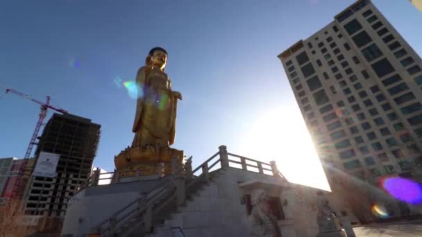 Stor Buddha Staty Den Internationella Buddha Parken Ulaanbaatar Mongoliets Huvudstad — Stockvideo