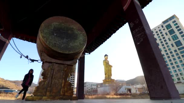Personas Identificadas Parque Internacional Del Buda Ulán Bator Capital Mongolia — Vídeos de Stock