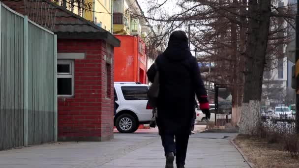 Straßenverkehr Ulaanbaatar Der Hauptstadt Der Mongolei März 2019 — Stockvideo