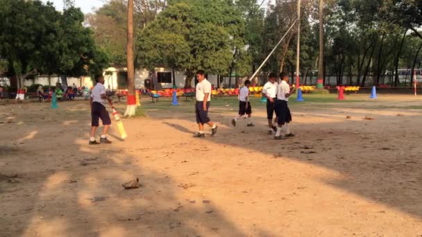 Неизвестные Студенты Играют Крикет Колледже Dhaka Residential Model College Мохаммадпуре — стоковое видео