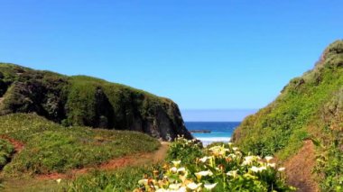Pasifik Okyanusu Big Sur bölgesinde, Calla Lilly Vadisi, Kaliforniya, ABD
