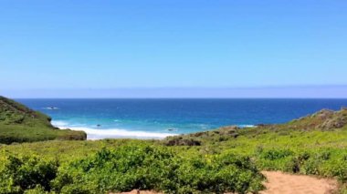 Pasifik Okyanusu Big Sur bölgesinde, Calla Lilly Vadisi, Kaliforniya, ABD