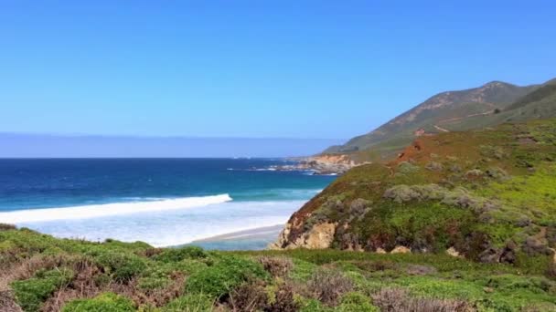 Oceano Pacifico Nell Area Del Big Sur Calla Lilly Valley — Video Stock