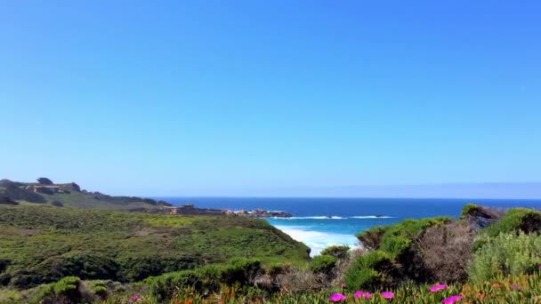 Pacific Ocean Big Sur Area Calla Lilly Valley Californië Verenigde — Stockvideo