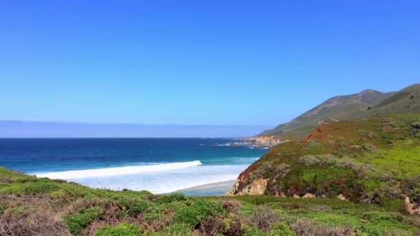 Pacific Ocean Big Sur Area Calla Lilly Valley California Usa — Stock Video