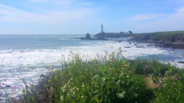 Bela Paisagem Californiana Half Moon Bay Venice Beach Pillar Point — Vídeo de Stock