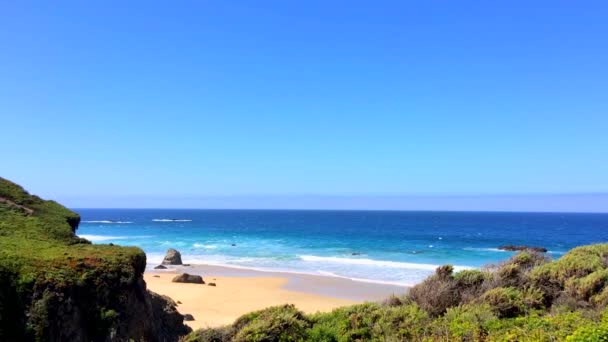 Ocean Spokojny Obszarze Big Sur Calla Lilly Valley Kalifornia Usa — Wideo stockowe