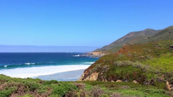 Oceano Pacifico Nell Area Del Big Sur Calla Lilly Valley — Video Stock