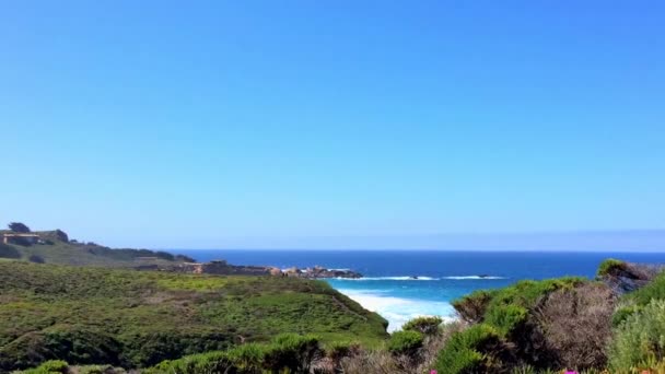 Ειρηνικός Ωκεανός Στην Περιοχή Big Sur Calla Lilly Valley Καλιφόρνια — Αρχείο Βίντεο