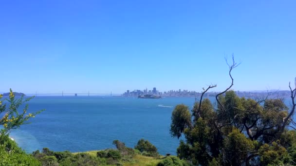 Bay Bridge San Francisco Californie États Unis — Video