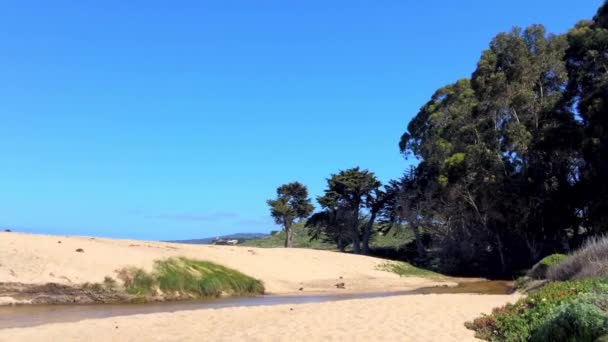 Big Sur Area Carmel Sea California Usa — Wideo stockowe