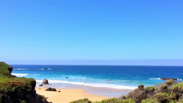 Oceano Pacífico Área Big Sur Calla Lilly Valley Califórnia Eua — Vídeo de Stock