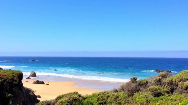 Oceano Pacifico Nell Area Del Big Sur Calla Lilly Valley — Video Stock