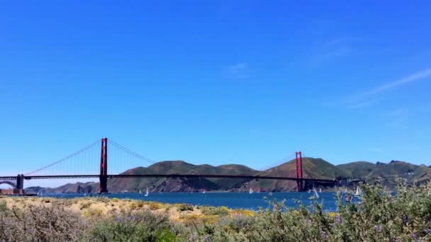 米国カリフォルニア州クリシーから見られるゴールデンゲートブリッジ — ストック動画
