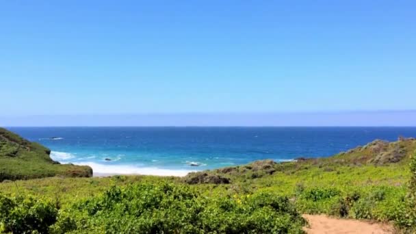 Pacific Ocean Big Sur Area Calla Lilly Valley Californië Verenigde — Stockvideo