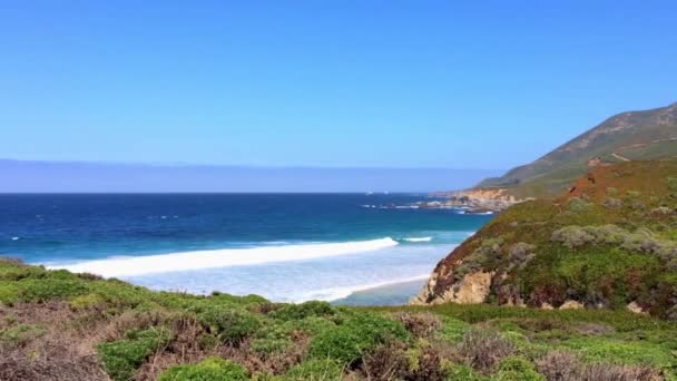 Oceano Pacifico Nell Area Del Big Sur Calla Lilly Valley — Video Stock