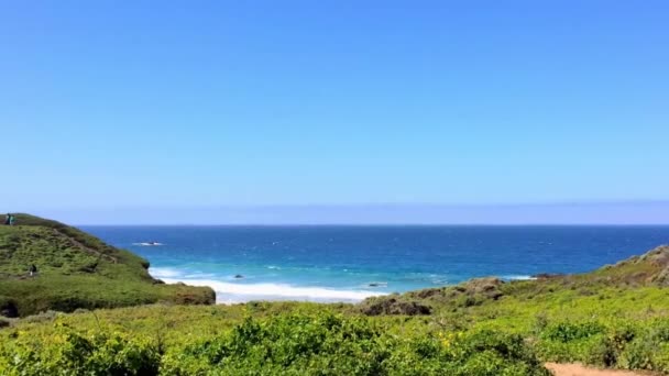 Oceano Pacifico Nell Area Del Big Sur Calla Lilly Valley — Video Stock