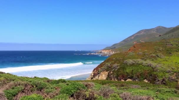 Тихий Океан Районі Біг Сур Калла Ліллі Каліфорнія Сша — стокове відео