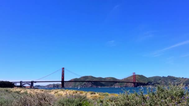 Puente Golden Gate Visto Desde Chrissy California — Vídeo de stock