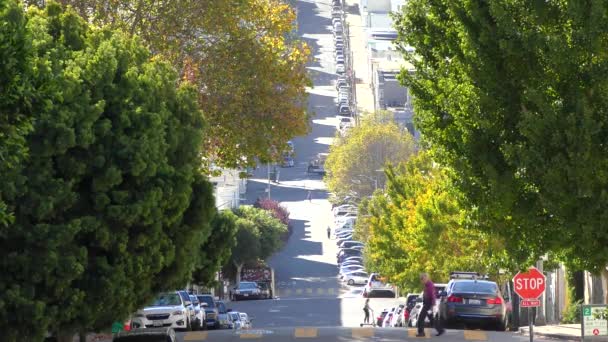 Greenwich Caddesi Nin San Francisco Kaliforniya Daki Telegraph Hill Den — Stok video