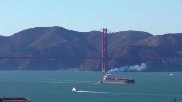 Golden Gate Köprüsü San Francisco California Daki Telegraph Hill Den — Stok video