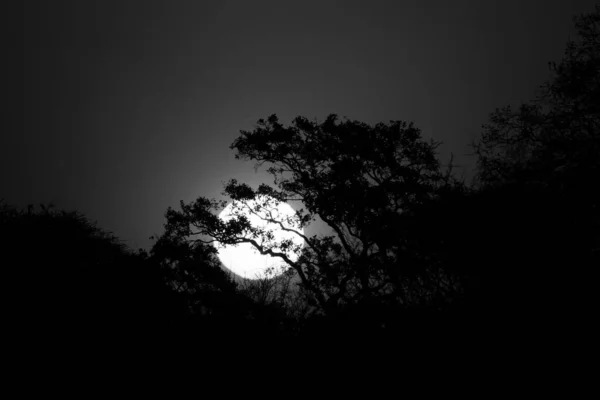 Puesta Sol Africana Parque Nacional Kruger Sudáfrica — Foto de Stock