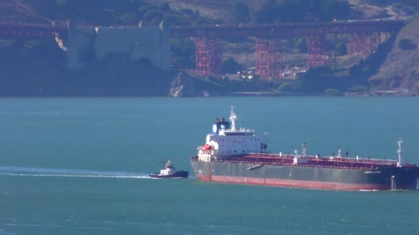 Kapal Kargo Seperti Yang Terlihat Dari Menara Coit Telegraph Hill — Stok Video