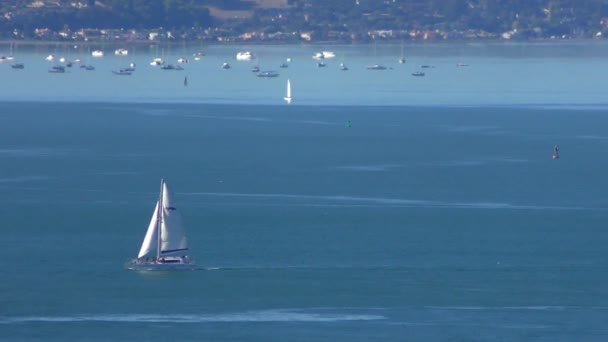 Teluk San Francisco Seperti Yang Terlihat Dari Menara Coit Telegraph — Stok Video