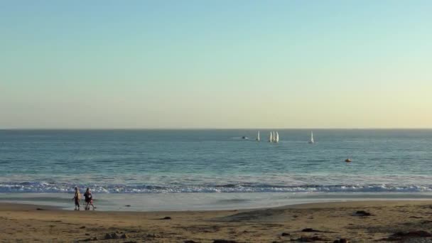 Unbekannte Twin Lakes Beach Hafen Von Santa Cruz Bei Sonnenuntergang — Stockvideo