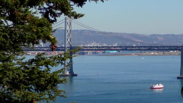 Bay Bridge Seen Telegraph Hill San Francisco California 2018 Október — Stock videók