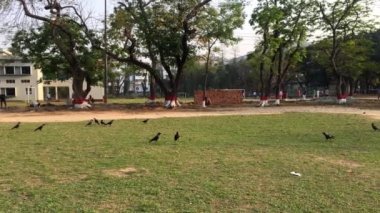 Bangladeş 'in başkenti Dhaka' daki Dhaka Residential Model College 'da kriket oynayan genç öğrenciler, takriben Şubat 2019