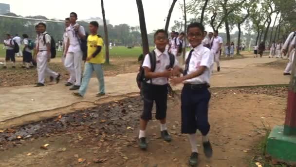 2019年2月左右 在孟加拉国首都达卡Mohammadpur达卡住宿示范学院打板球的年轻学生 — 图库视频影像