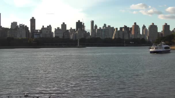 Upper East Side Manhattan Visto Socrates Sculpture Park Localizado Bairro — Vídeo de Stock