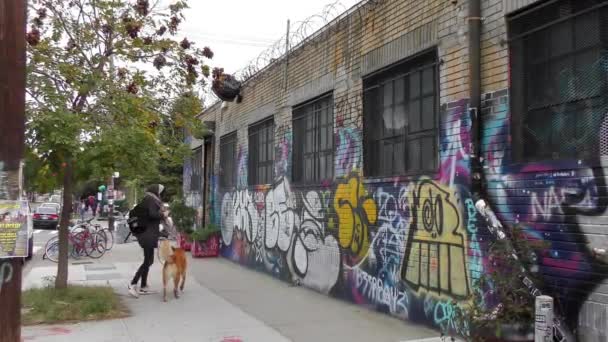 Cena Rua Bushwick Brooklyn Bairro Classe Trabalhadora Parte Norte Bairro — Vídeo de Stock