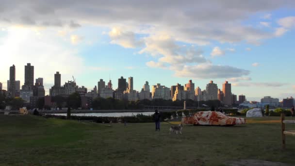 位于纽约皇后区阿斯托里亚 Astoria 的苏格拉底雕塑公园 Socrates Sculpture Park 位于曼哈顿上东区 2018年 — 图库视频影像