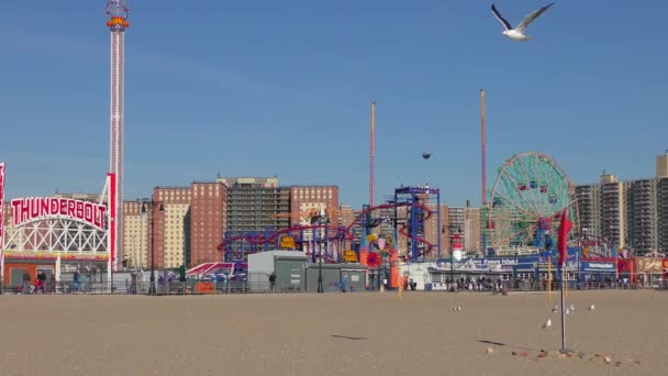 Luna Park Plage Coney Island Sur Coney Island New York — Video