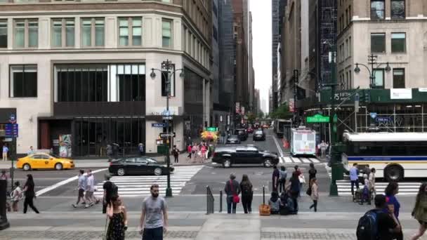 Personnes Non Identifiées Circulation Stephen Schwarzman Building New York Public — Video