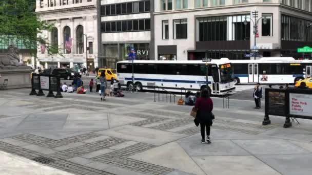 Unidentified People Street Traffic Stephen Schwarzman Building New York Public — Stock Video