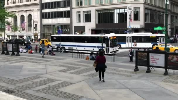 Unidentified People Street Traffic Stephen Schwarzman Building New York Public — Stock Video