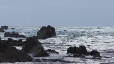 Pasifik Okyanusu 'ndaki San Cristobal adasında dalgalar 