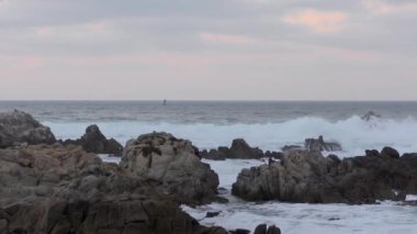 Pasifik Okyanusu 'ndaki San Cristobal Adası' ndaki kayalara vuran dalgaların ve oradan geçen martıların görüntüsü