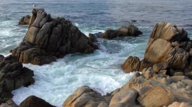 2019 yılında Galapagos Takımadası 'nın en doğusundaki San Cristobal (veya Chatham Adası) engebeli volkanik kayalık kıyıları