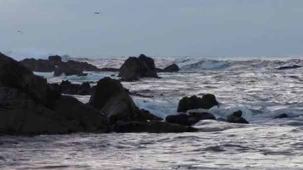 Golven Spetteren San Cristobal Eiland Stille Oceaan — Stockvideo