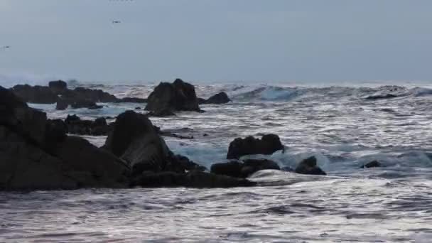 太平洋のサン クリストバル島で波が飛び交う — ストック動画
