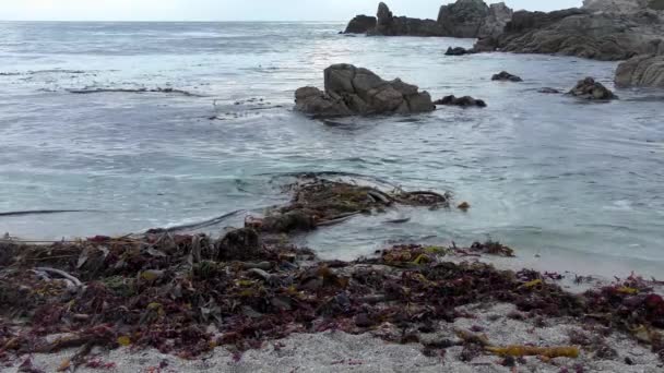 Fale Rozbryzgane Wyspie San Cristobal Oceanie Pacyfiku — Wideo stockowe