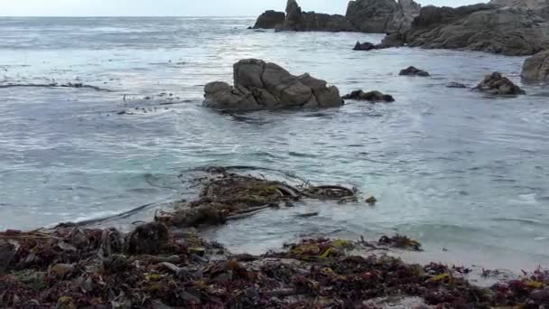 Ondas Calmas Salpicando Costa Com Seagrass Ilha San Cristobal Oceano — Vídeo de Stock