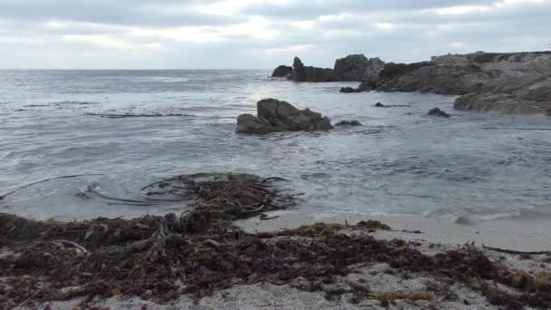 Rolige Bølger Plaske Kysten Med Havgræs San Cristobal Stillehavet – Stock-video