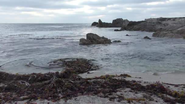 Onde Calme Che Schizzano Riva Con Erba Marina Dell Isola — Video Stock